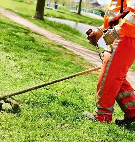 Стрижка газона в Ельце